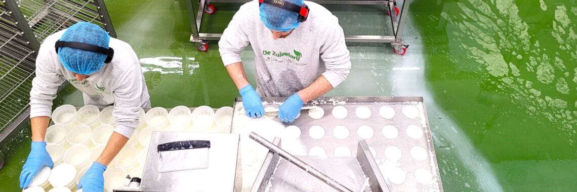 cacioricotta, vivie, wheycheese